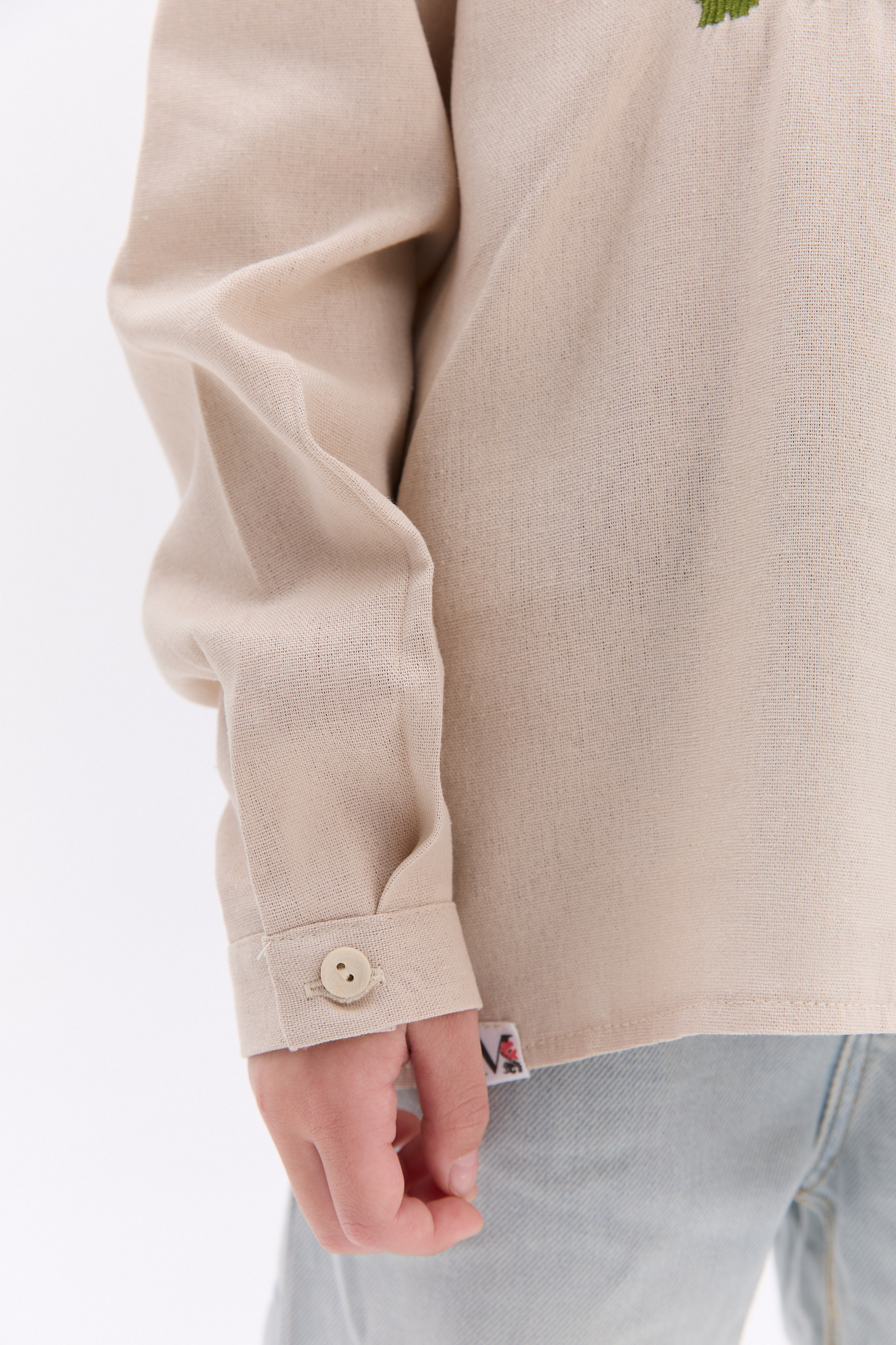 Вишиванка для хлопчика Дубок